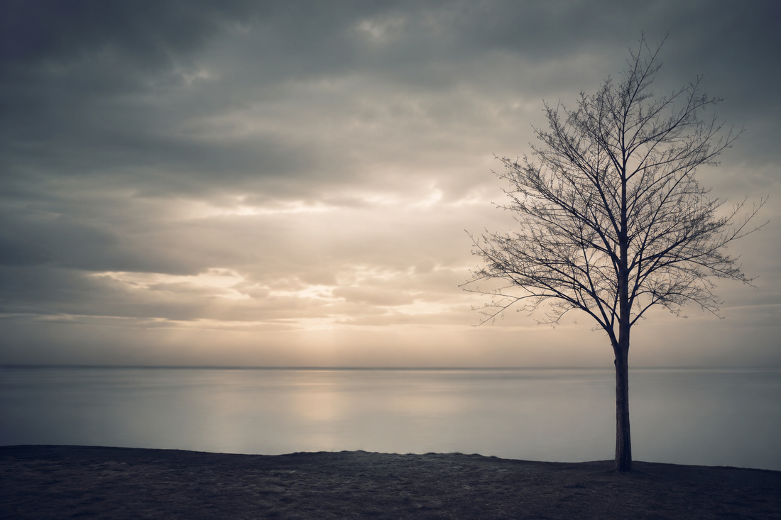 How Long Does Grief Last? What Actually Helps