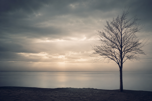 How Long Does Grief Last? What Actually Helps